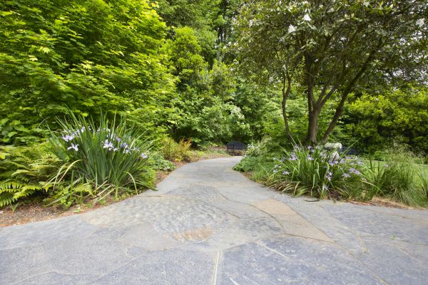 Stone Hardscape Service in Prior Lake